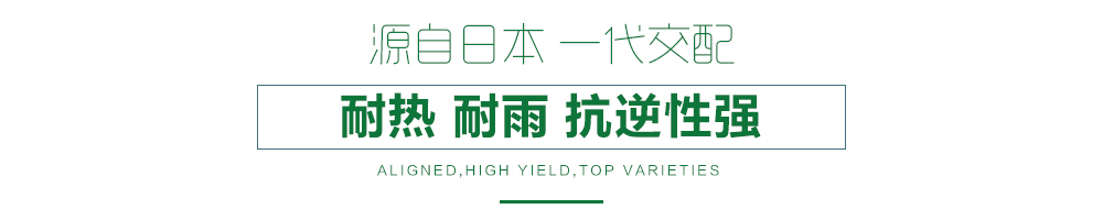 1557817772865176.jpg 詳情頁11.jpg