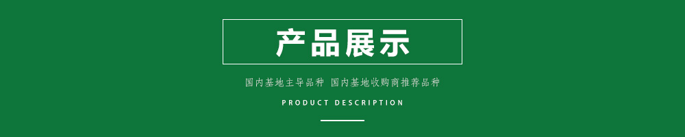 1557978070452745.jpg 00新產(chǎn)品.jpg