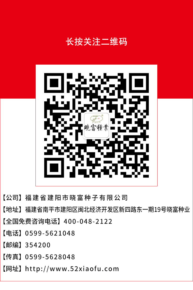 1608455396124930.jpg 頁底.jpg